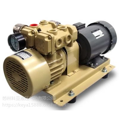 ̨ڰձRV-16V-SS 220V