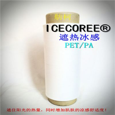 ά˿ICECOREE DTYFDYɴߡȱ