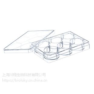 Greiner 6孔细胞培养板货号657160