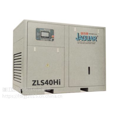 ̨ݱűƵݸʽѹZLS-100Hi(75KW/100HP)