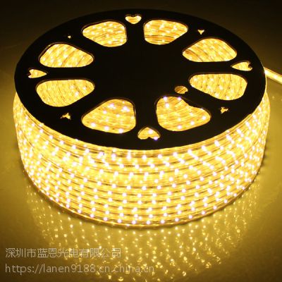 ڳֱ3528 60Ƹѹƴ220V/110V