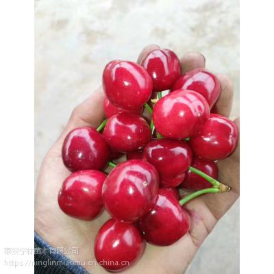 Ӧ1-9ӣ