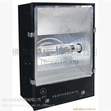 ӦϺ ZYQ-3 1000W򳡵 ë򳡵 򳡵