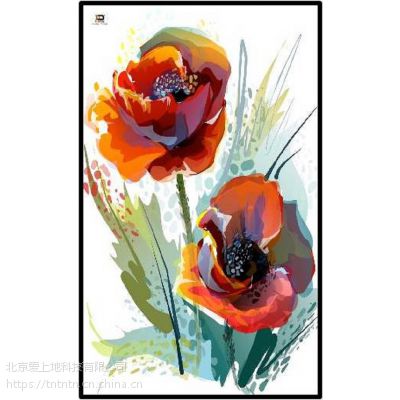 供应北京爱上地碳晶电暖器黑白金系列玫瑰花单片