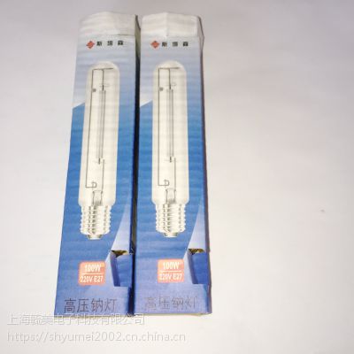 ˹ɭѹƵNG 100W E27/E40