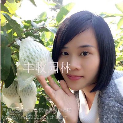 ƽ ϰ෬ʯ 鹩Ӧʯ15777793411