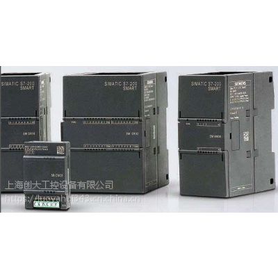 6ES72211BH220XA8S7-200CNģ