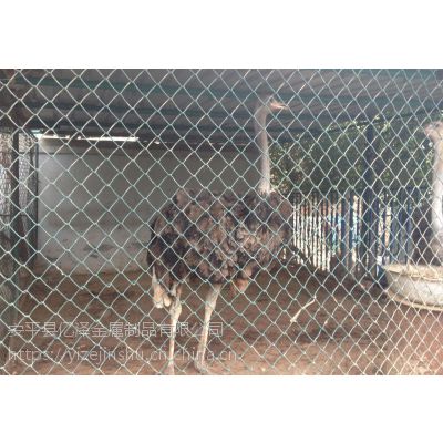 亿泽动物园防护网￥动物园防护网价格￥大体牲畜护栏网实体厂家