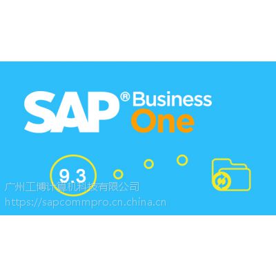 SAP business one 9.3¹ܽܡƼṩ