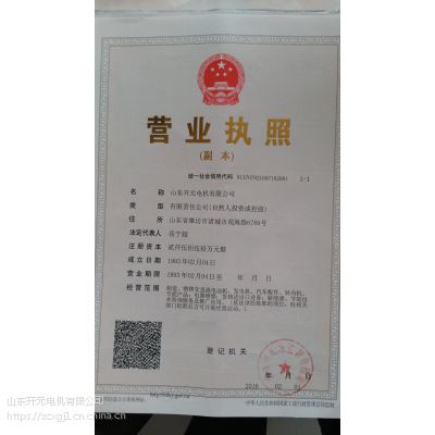 供应山东开元电机公司 三相异步电动IP23 6302-8高效节能电机028295