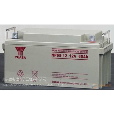 汤浅蓄电池NP65-12V的参数与尺寸