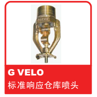 ɿReliableͷ֮G VELO ׼Ӧֿͷ