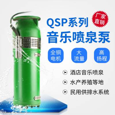 QSP潜水喷泉泵90QSP100-6-3优质DR470冷轧夕钢片不锈钢喷泉水泵