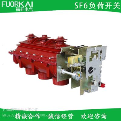 FLN36-12/630SF6ɿظѹ