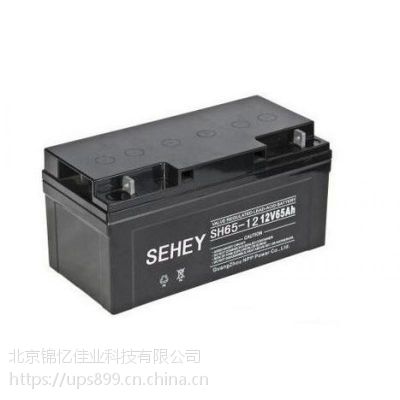 北京西力蓄电池总代理报价12V120AH机房配套铅酸蓄电池免费安装
