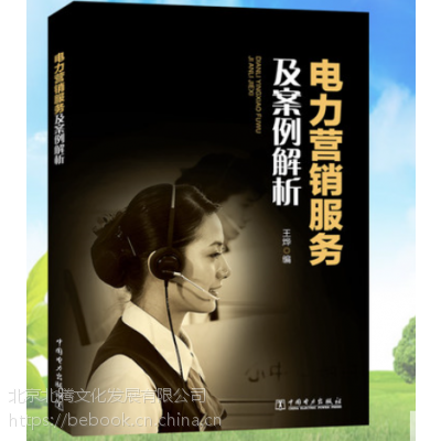 《新书**电力营销服务及案例解析、王烨编著、电力营销服务及案例书籍