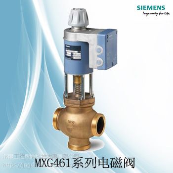 SIEMENSͨŷMXG461B40-20һʮ