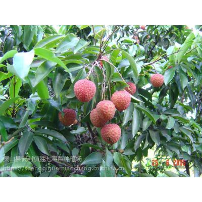 켦繩Ӧ ֦ 13457775554 ޽ ֦