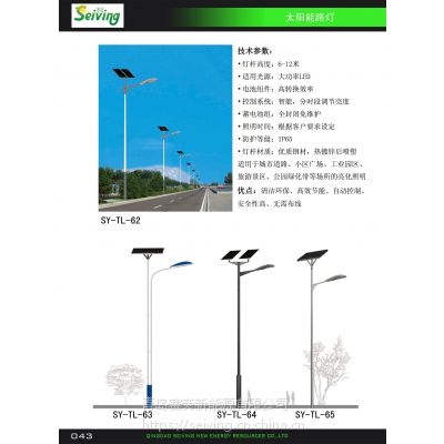 青岛路灯太阳能路灯道路照明安装SY-TL-65
