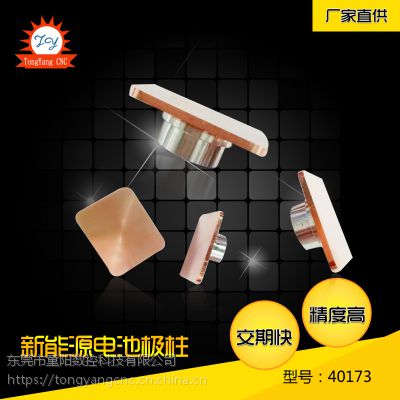缫 Դ40173 í ͵缫ӹ