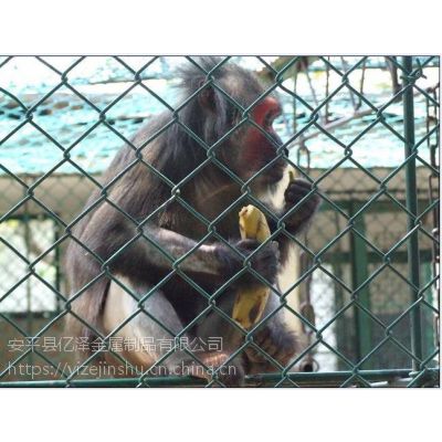 植物园绿化浸塑围网￥植物园勾花护栏现货供应￥亿泽动物园防护围栏网