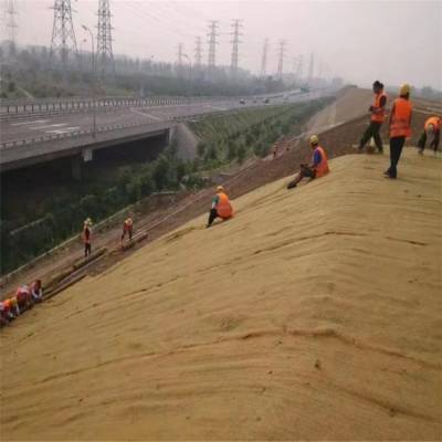 植生毯-植物纤维毯-速公路边坡绿化植物纤维毯 椰丝壳纤维织造 生态修复绿化毯