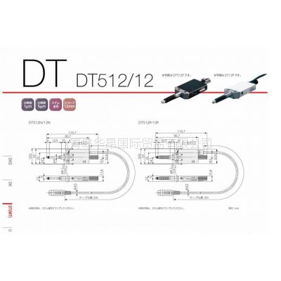 ӦԭװձMagnescale̽DT12N