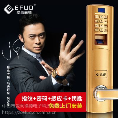 EFUD 中山办公室电子锁, 密码防盗锁,感应智能锁,小区智能锁 大门指纹锁