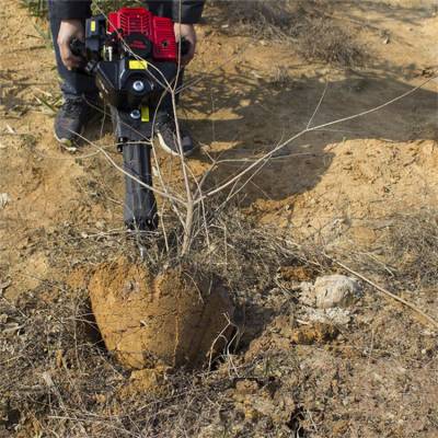 苗木移植断根机 汽油多功能挖树机 铲头式起树机