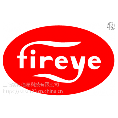 Fireye 45UVFS1-1000CEX @上海实创信息***