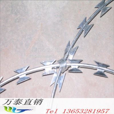 刺绳铁蒺藜网 包塑刺网围栏 优质铁网安全