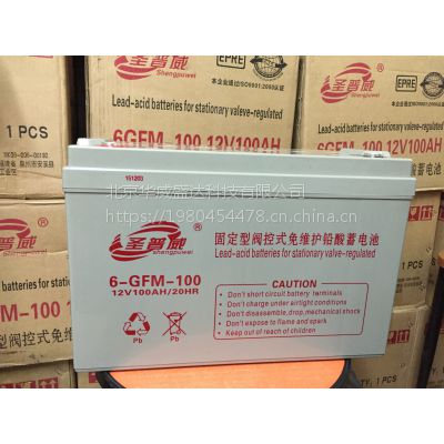 ʥ12VǦ6GFM-100մ