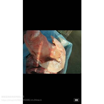 进口猪头,比利时153/1厂,带耳朵,不带口条,冷冻猪头,货源稳定充足