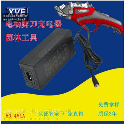 XVE԰ֹߵ綯 50.4V1A綯Ƴ