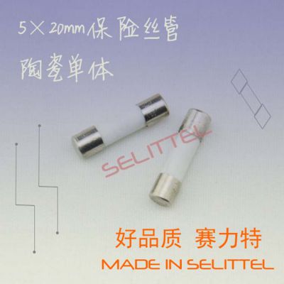 5*20陶瓷慢断保险丝管 灌砂型慢熔保险丝管500mA-6.3A