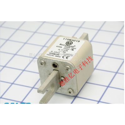 ӦBUSSMANN۶170M3015 170M3016