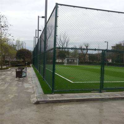 2015女足世界杯多项纪录被世界杯直播在