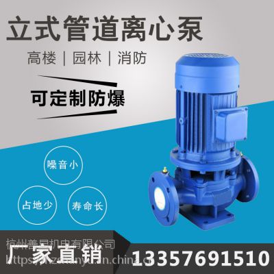 1寸口径立式离心泵循环泵热水系统 IRG耐高温管道泵小型0.75千瓦