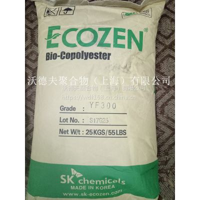 SK ECOZEN YF300 YF300 ֵ·ֻ