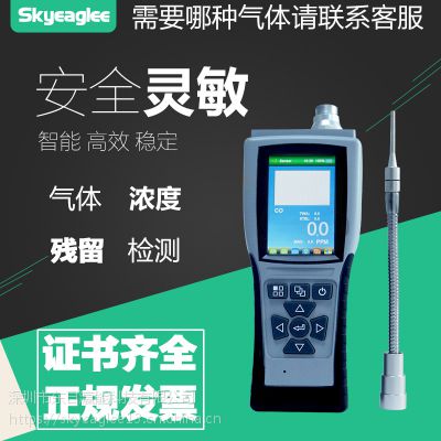 Skyeaglee便携式甲基联氨气体检测仪SK-800-CH6N2