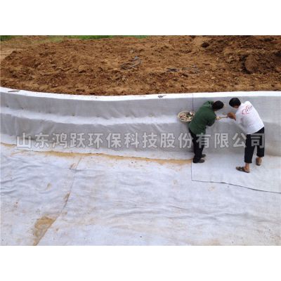 惠州市钠基防水毯产品型号（鸿跃环保）钠基防水毯