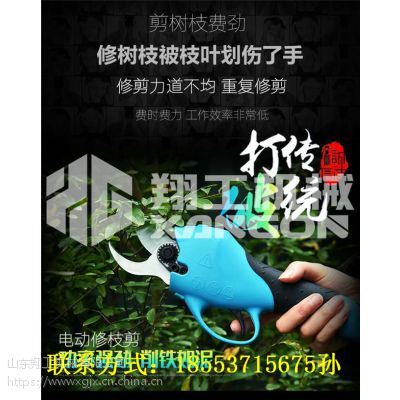 翔工果树修枝剪价格表 电动修枝剪哪个牌子好 电动剪枝剪