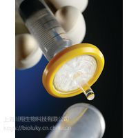 Millpore 过滤器，0.45 µm，PVDF，33 mm 货号SLHV033RB