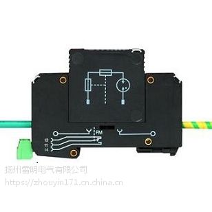 PT二次接地保护器型号F-MS25-PVT/FM