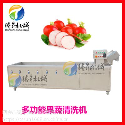 厂家全国促销豪华型洗菜机TS-X300型 臭氧杀菌洗菜机 果蔬清洗机