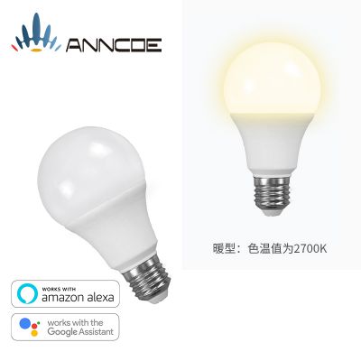 LED Ҿ܁Rdalexawifi cGoogle ؈`