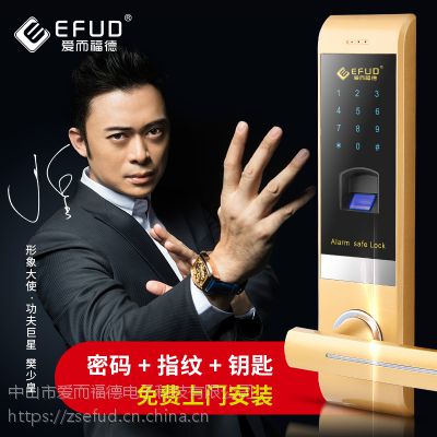 EFUD 智能家居 配套专用锁 电子锁 指纹锁代理 智能锁招商***