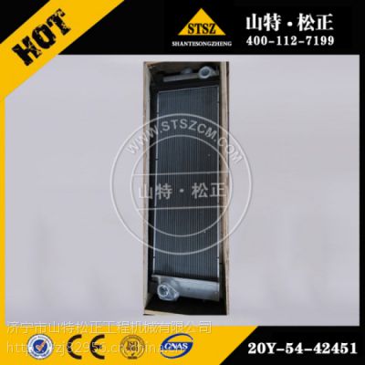 СPC200-8ˮ20Y-54-42451 ھɢ