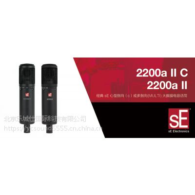 SE Electronics 2200a II C ָ¼Ͳ