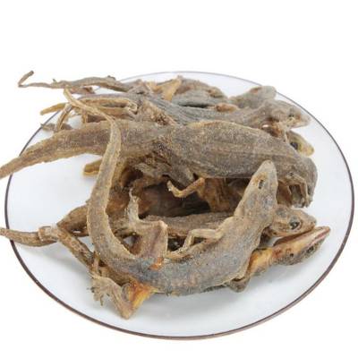 蜥蜴蜥蜴多少钱一斤蜥蜴的功效药用方法
